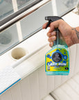 Lazy Bum 500ml