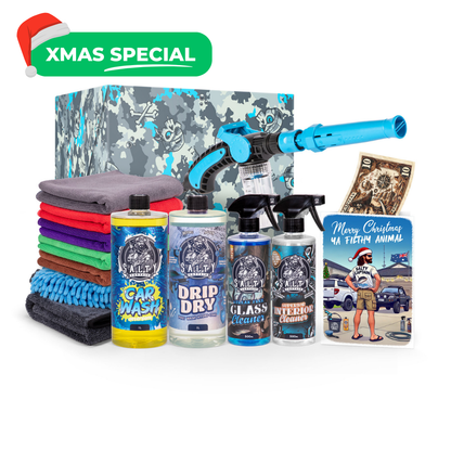 Car Clean & Shine – Christmas Gift Special